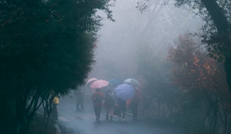 Detroit Braces for Week of Fog, Rain, and Potential Thunderstorms, National Weather Service Reports