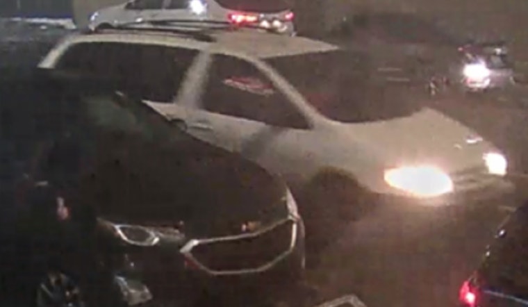 Detroit Cops Hunt Mystery Van After Woman Hit On Conant