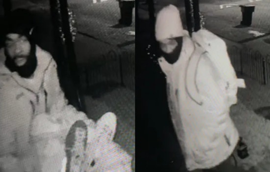 Detroit Cops Hunt TV-Snatching Duo After East Side Home Heist