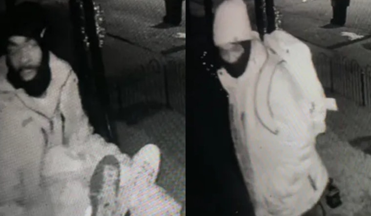 Detroit Cops Hunt TV-Snatching Duo After East Side Home Heist