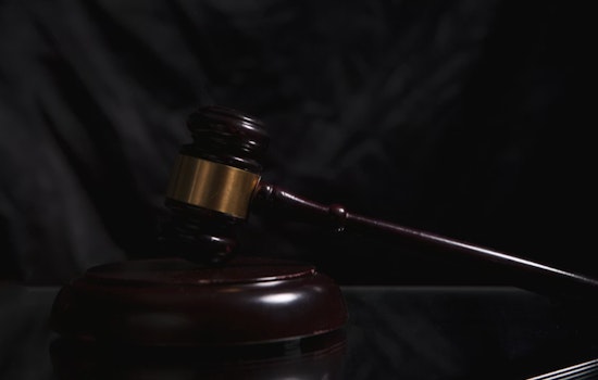 Detroit Man Charged with Felony Animal Cruelty for Abandoning Dog in Severe Cold