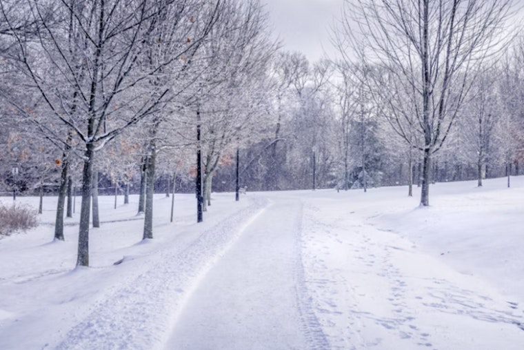 Detroit Mobilizes Emergency Shelters and Warm Spaces as Deep Freeze Challenges City