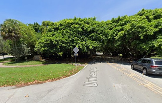 Dogfight In Coral Gables: Neighbors Sue To Stop Library-Side Pup Park