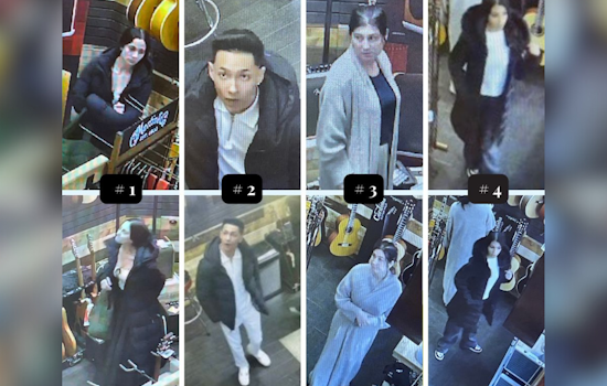 $15,000 Vintage Martin Guitar Stolen from Bel Air Music Store, Police Seek Information