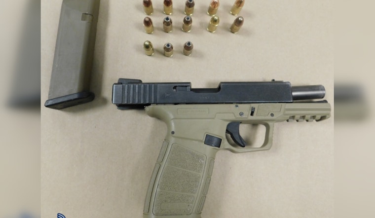 Dorchester Domestic Violence Call With Guns Ends In Arrest