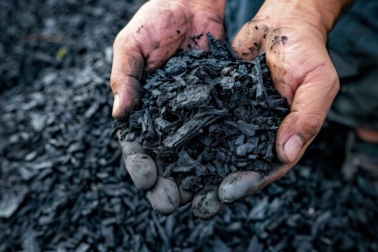 Douglas County Gambles That Trash Trees Can Pay for Wildfire Defense