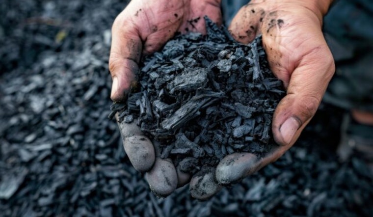 Douglas County Gambles That Trash Trees Can Pay for Wildfire Defense
