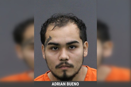 Dover Felon Busted After Cops Find House Packed With Guns and Drugs