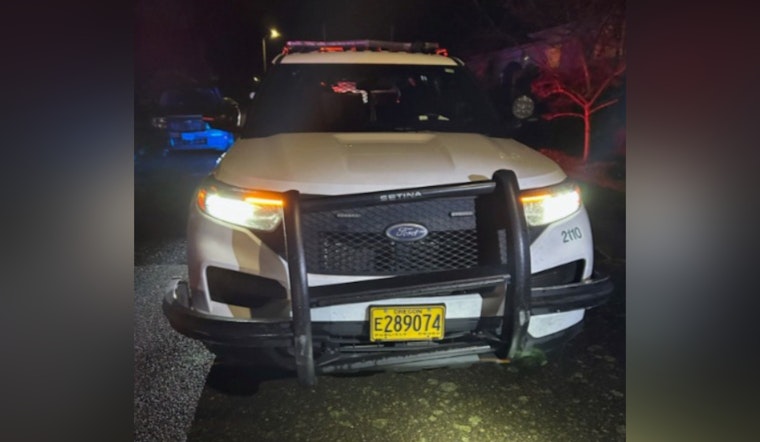 Driver Busted After Wrecking Multnomah County Patrol SUV Near Portland