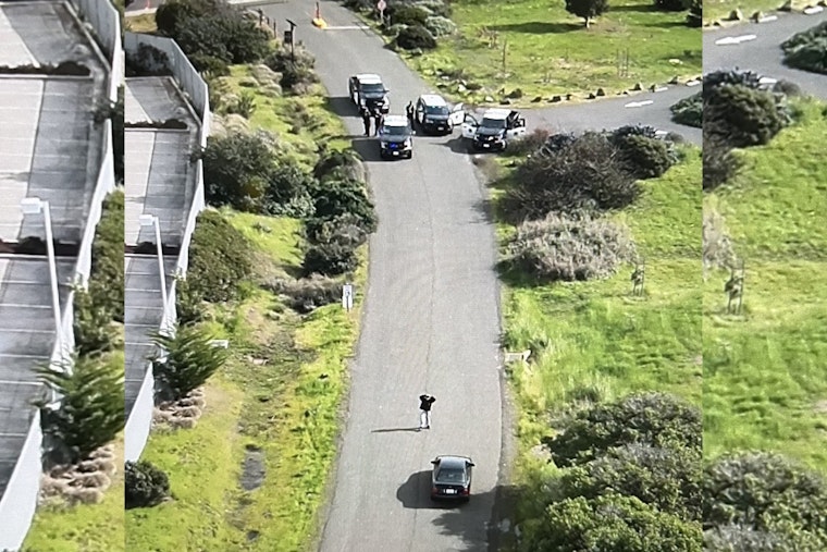 Drone Eye in the Sky Helps Snag Wanted Suspect at Arrowhead Marsh