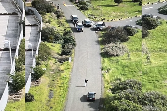 Drone Eye in the Sky Helps Snag Wanted Suspect at Arrowhead Marsh