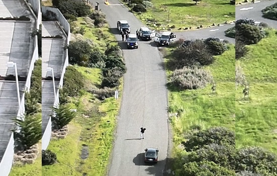 Drone Eye in the Sky Helps Snag Wanted Suspect at Arrowhead Marsh