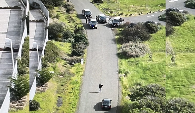 Drone Eye in the Sky Helps Snag Wanted Suspect at Arrowhead Marsh
