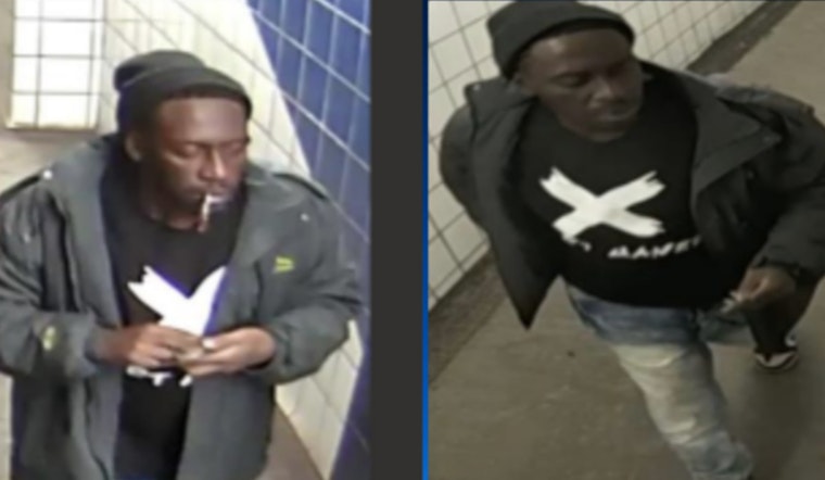 Elderly Rider Mugged at Wicker Park 'L' Stop, Cops Hunt Blue Line Bandit
