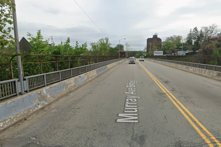 Electrified Sidewalks Shock Dogs Across Pittsburgh