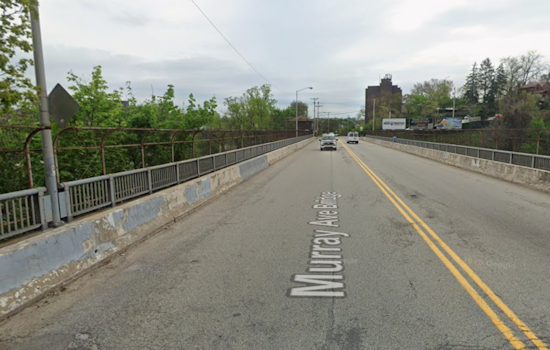 Electrified Sidewalks Shock Dogs Across Pittsburgh