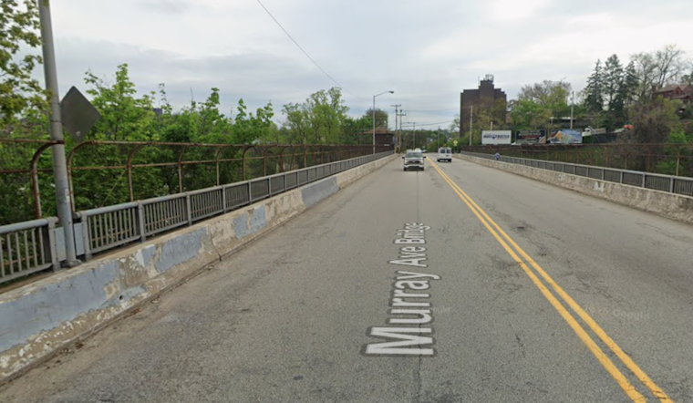 Electrified Sidewalks Shock Dogs Across Pittsburgh