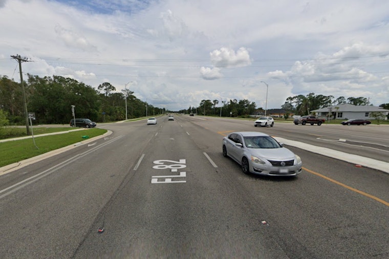 Endangered Florida Panther Left Dead On Collier’s State Road 82