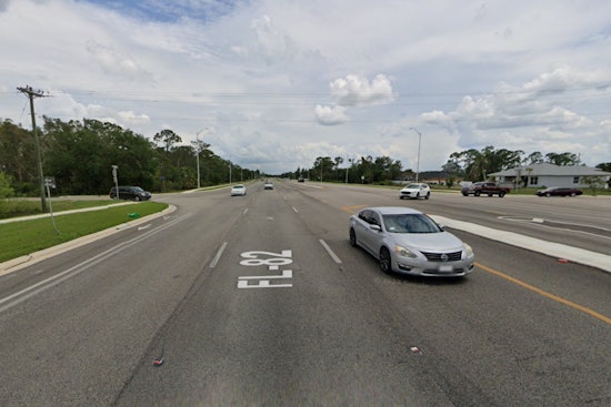 Endangered Florida Panther Left Dead On Collier’s State Road 82