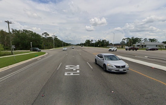 Endangered Florida Panther Left Dead On Collier’s State Road 82