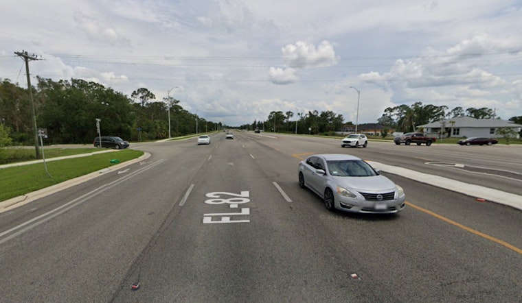 Endangered Florida Panther Left Dead On Collier’s State Road 82