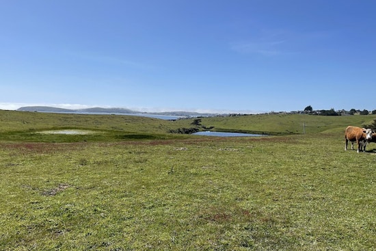 Estero Americano Preserve Turns Bodega Harbour Cul‑De‑Sac Into Coastal Gridlock
