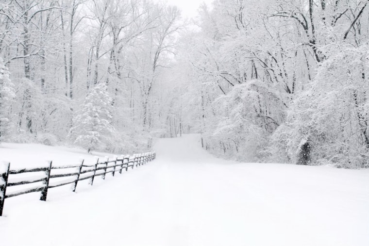 Fast Moving Winter Storm Shuts State Offices Across Five Northern Nevada Counties