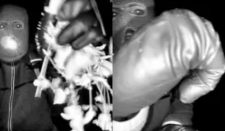 FBI “Deleted” Doorbell Video Haul Spooks Bay Area Homeowners