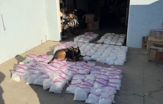 Feds Haul In Over 1,000 Pounds Of Meth From LA Streets