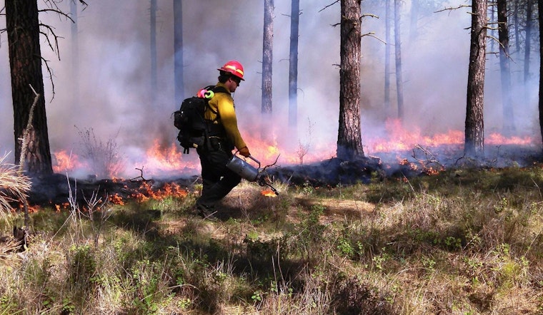 Feds Torch 'LACO RX Burn' Plot In LA County To Head Off Bigger Wildfires