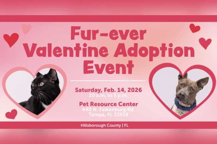 Find Your "Fur-ever Valentine" with Free Pet Adoptions at Hillsborough Pet Resource Center on Valentine's Day