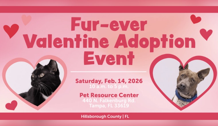 Find Your "Fur-ever Valentine" with Free Pet Adoptions at Hillsborough Pet Resource Center on Valentine's Day