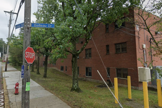 Fineview Horror: Mom And Daughter Stabbed Inside Belleau Drive Apartment