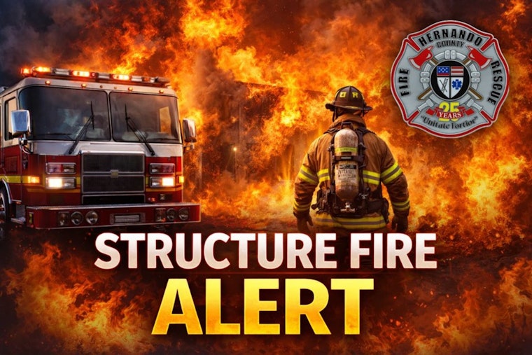 Fire Crews Swarm Ronald Street As Spring Hill Blaze Erupts