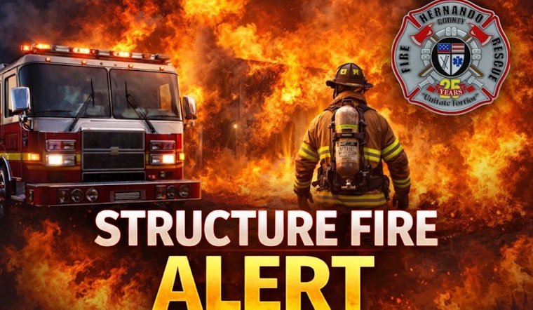 Fire Crews Swarm Ronald Street As Spring Hill Blaze Erupts