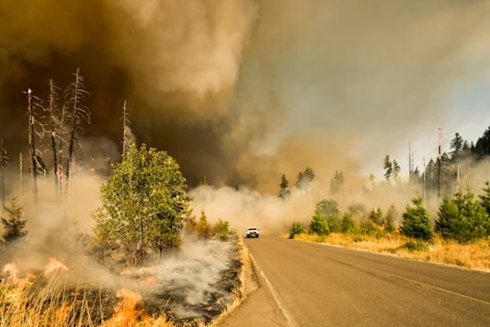Fire-Scarred Redwood Valley Families Get $350,000 Shot At Safer Homes