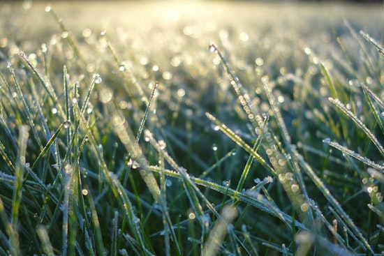 First Frost, Then a Blowtorch: Jacksonville Heads for Sunny 70s and Stiff Winds