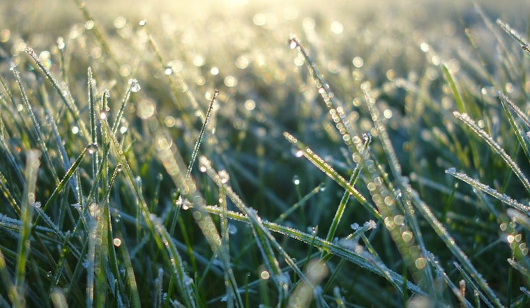 First Frost, Then a Blowtorch: Jacksonville Heads for Sunny 70s and Stiff Winds