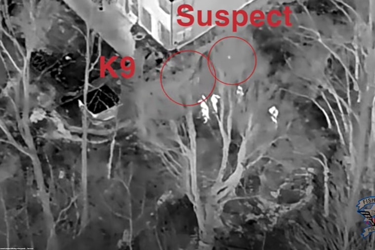 Fishers K9 And Drone Flush Out Wanted Man After Late-Night 104th Street Crash