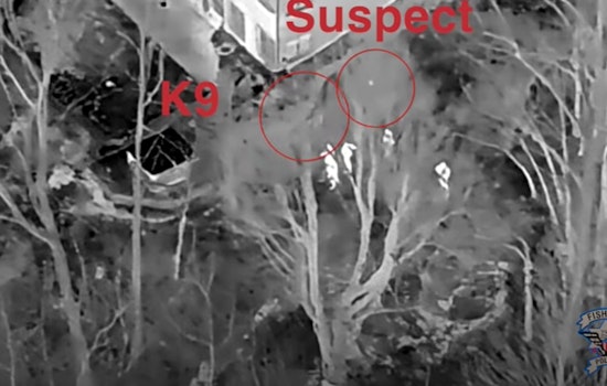 Fishers K9 And Drone Flush Out Wanted Man After Late-Night 104th Street Crash