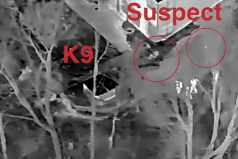 Fishers Police Nab Suspect with Multiple Warrants Using K9 and Drone Technology After Indianapolis Car Crash