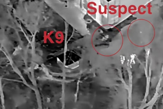 Fishers Police Nab Suspect with Multiple Warrants Using K9 and Drone Technology After Indianapolis Car Crash