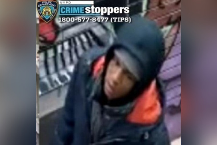 Flushing Corner Purse Snatch Leaves 58-Year-Old Woman Shoved To Ground