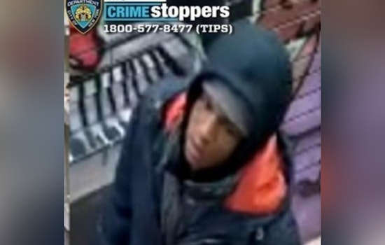 Flushing Corner Purse Snatch Leaves 58-Year-Old Woman Shoved To Ground