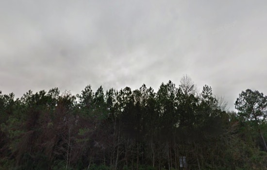 Fog, Chill And Wind Team Up To Rattle Jacksonville’s Monday