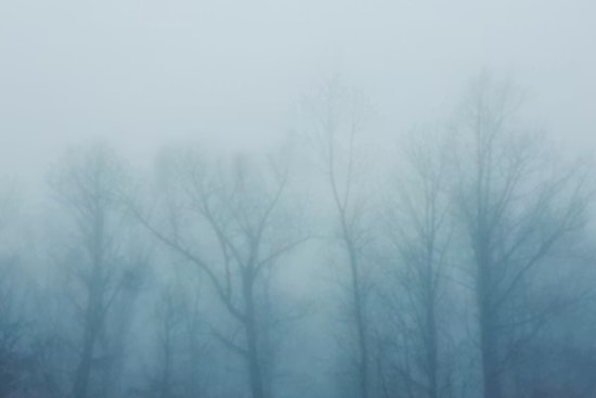 Fog Chokes Commute As Stormy Winds Line Up To Crash New Orleans Weekend