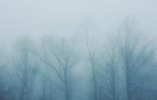 Fog Chokes Commute As Stormy Winds Line Up To Crash New Orleans Weekend