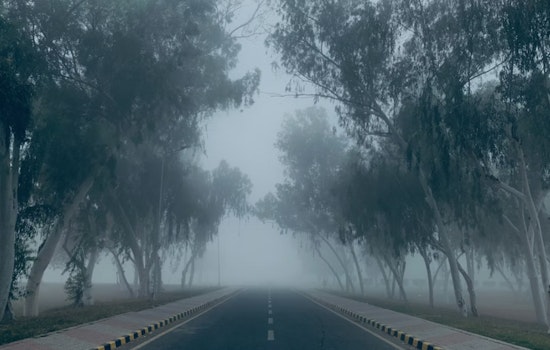 Fog Chokes Seattle Morning Commute as Saturday Soaker Lines Up
