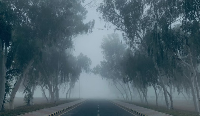 Fog Chokes Seattle Morning Commute as Saturday Soaker Lines Up