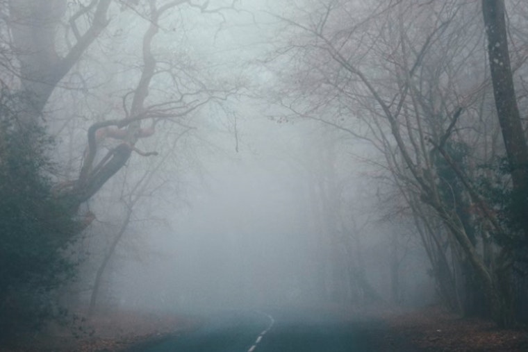 Fog Smothers New Orleans Morning As Springlike Warmup Moves In